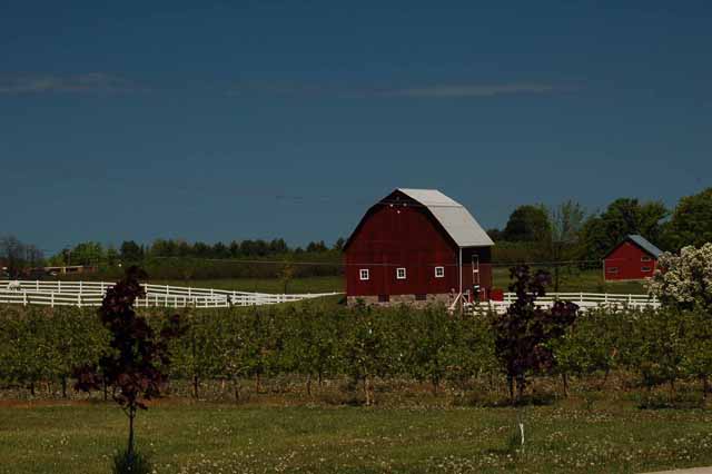 Farm on Old Mission Peninsula